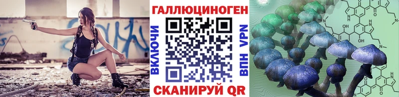 где найти   Москва  Псилоцибиновые грибы Magic Shrooms 