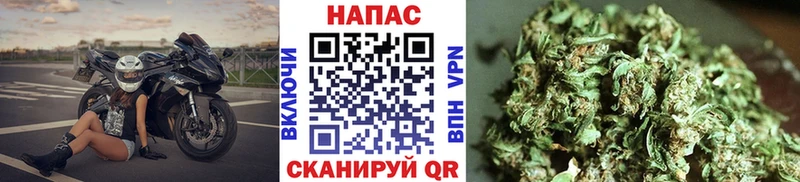 МАРИХУАНА Amnesia Москва